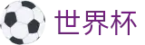 美加墨世界杯（中国）购彩服务平台_世界杯买球赛哪个平台人多给力
